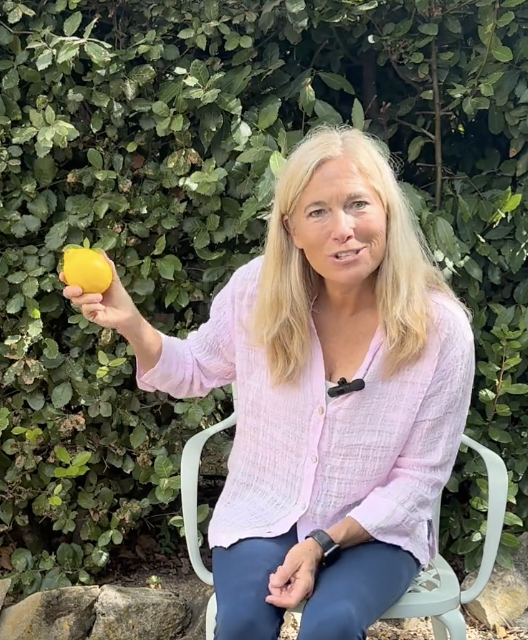 Use More Lemon