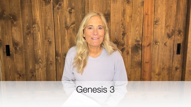 Genesis 3: Teaching (Video)