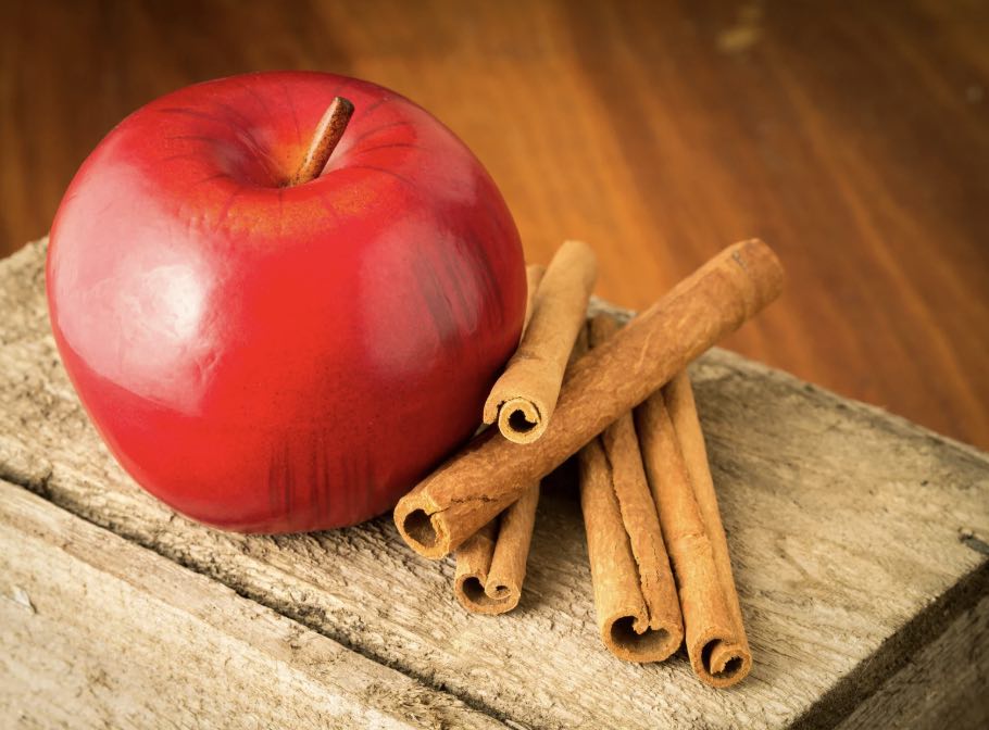Cinnamon Apple Protein Bites