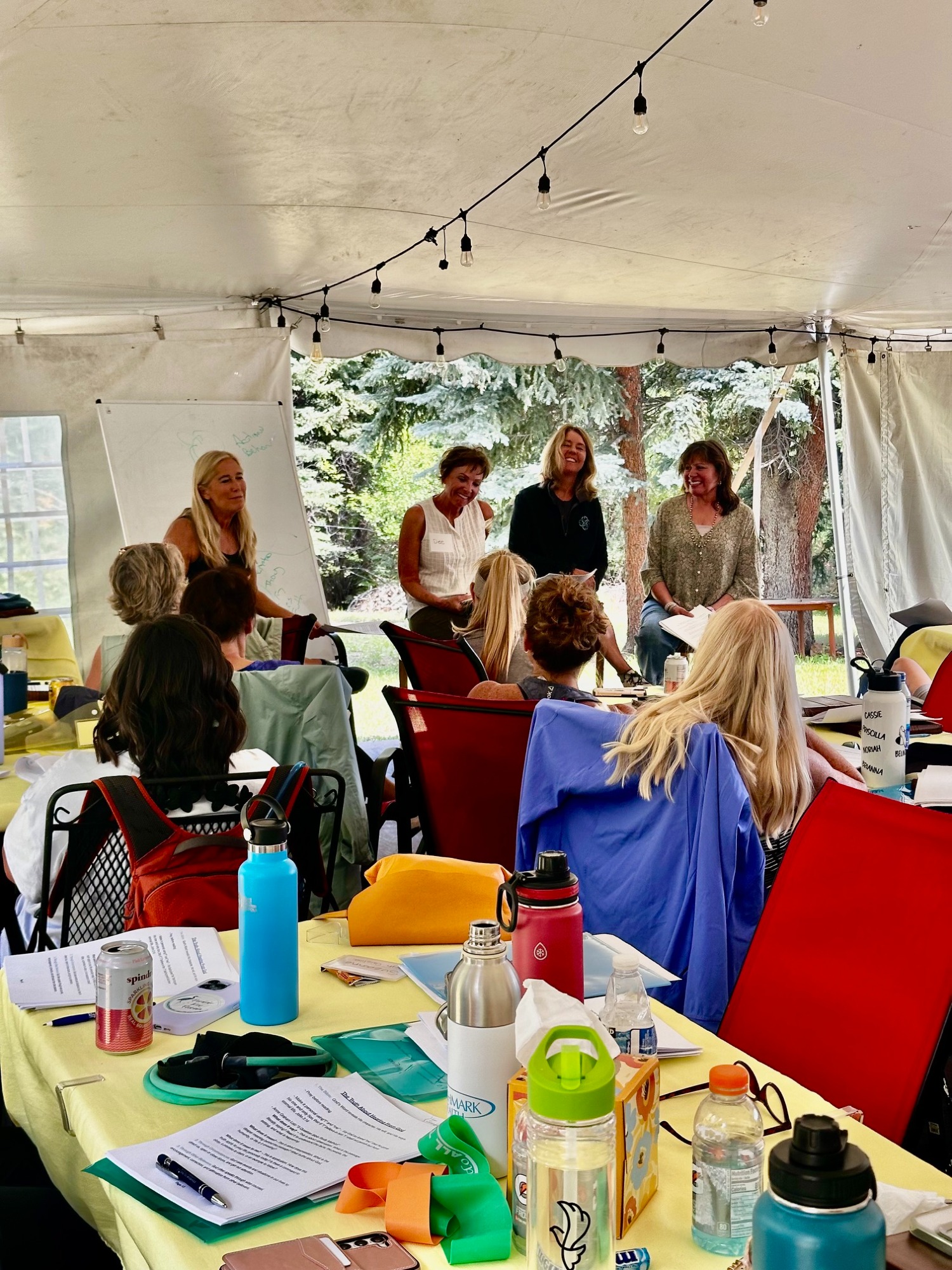 Colorado Retreat  photo 3
