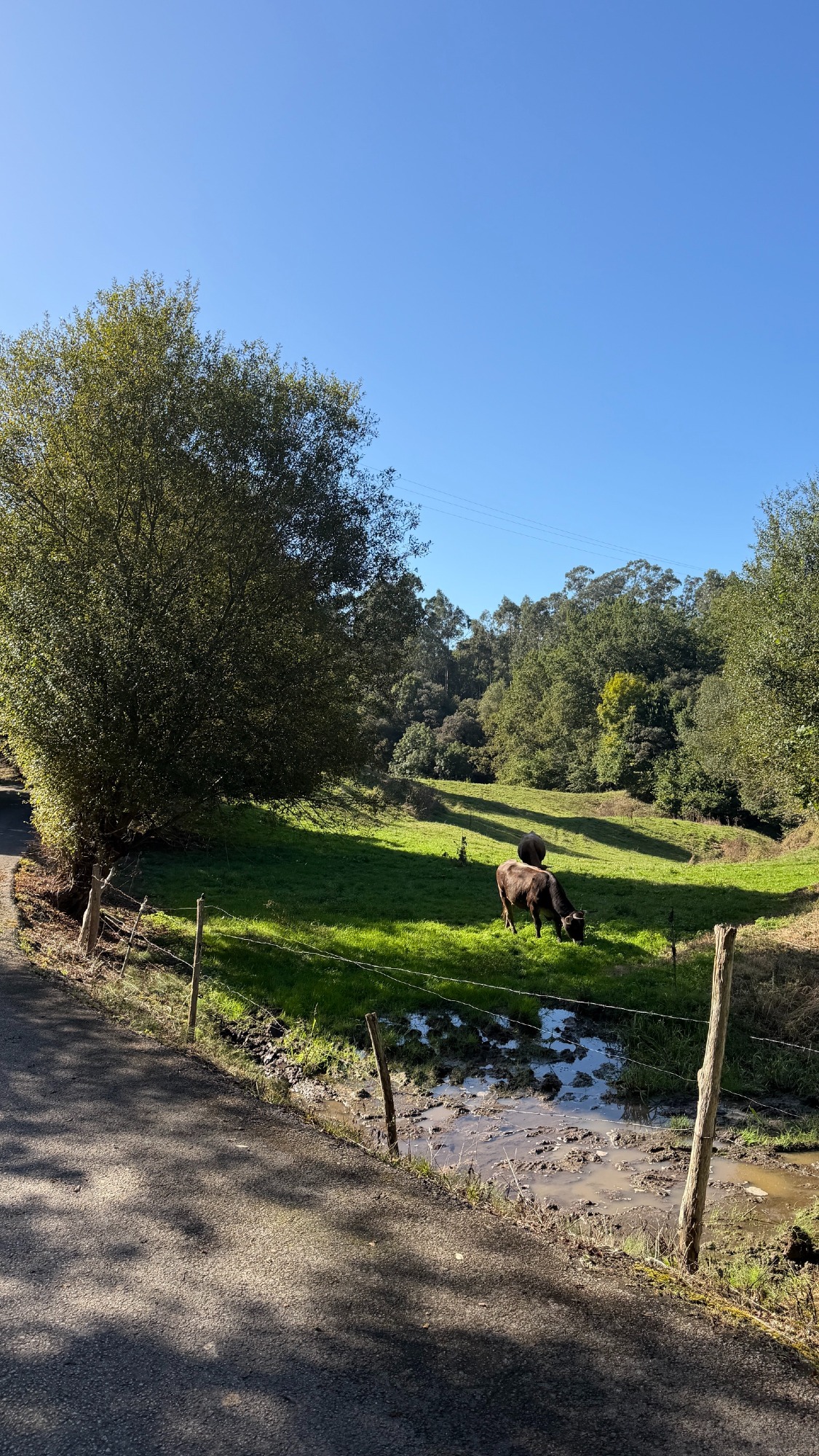 Basque Region Retreat & Camino del Norte Pilgrimage photo 3