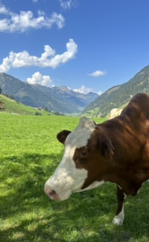 Austria Retreat photo 11