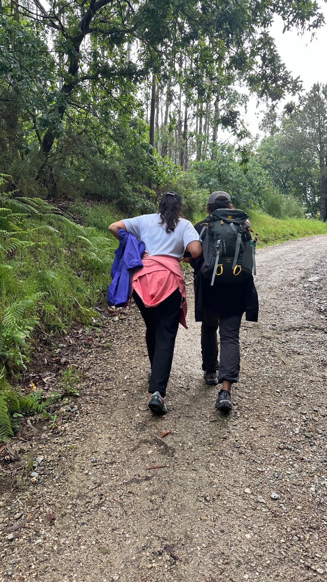 Portugal Retreat & Camino Pilgrimage photo 1