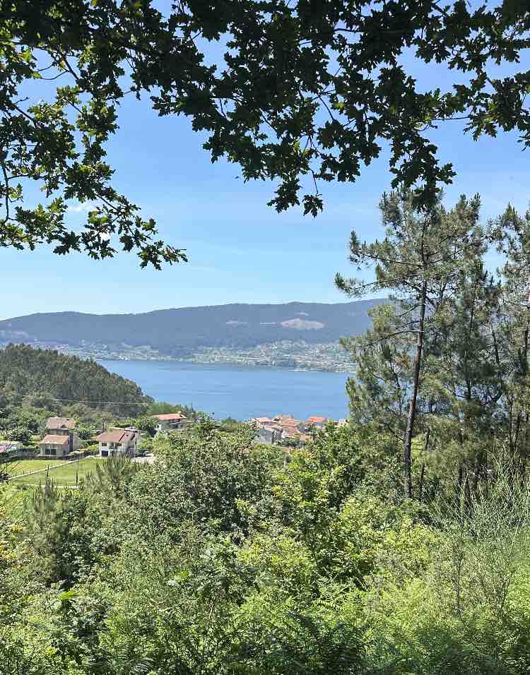 Portugal Retreat & Camino Pilgrimage photo 6