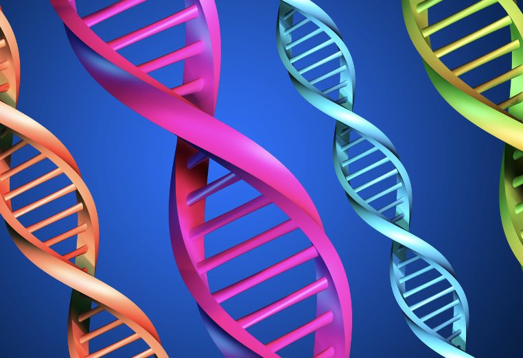 Don't Fight Your DNA