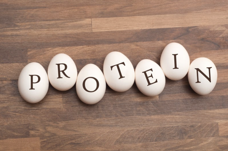 The Power of Protein