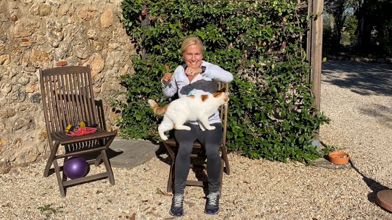 Everything-Chair-Workout-Italy-cat-too